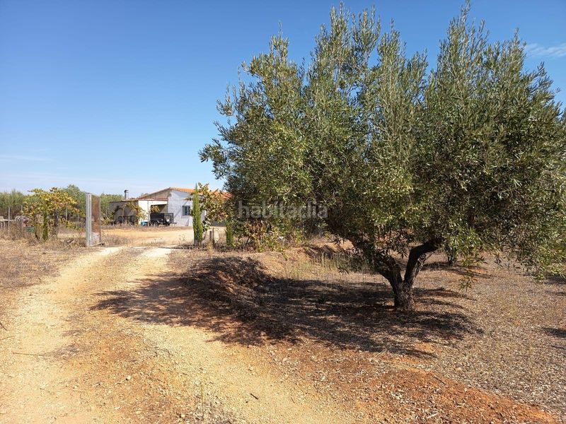 Foto 7d581c20-665c-44f2-956d-9f954afa1485. Casa amb aparcament a Bolbaite