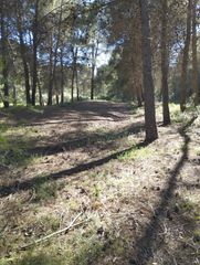 Terreno residenziale in Olleria (l´). Venta de terreno rustico protegido en lolleria