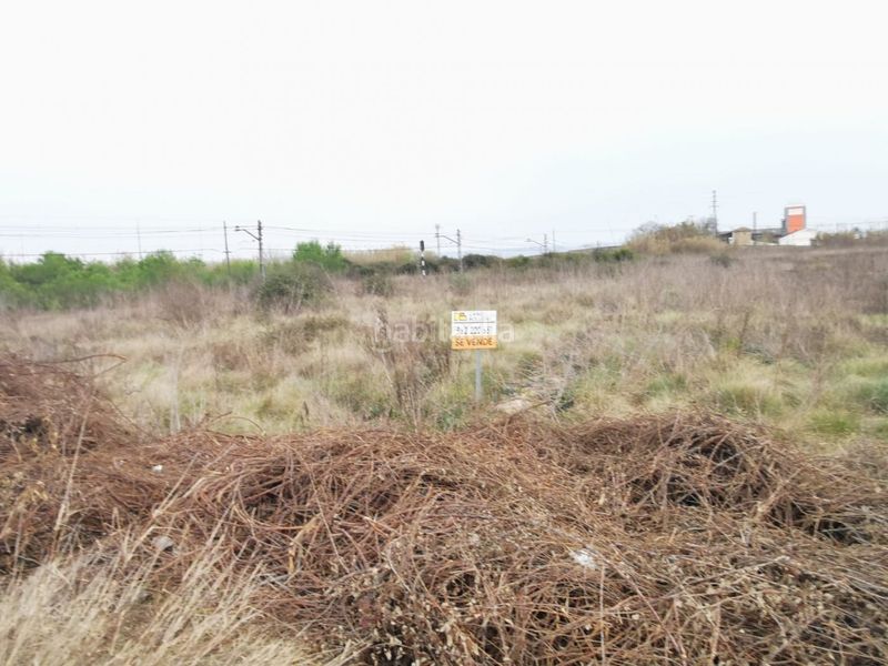 Foto de42d6c3-07b1-4e6d-b485-ea5abee5a7cb. Terreny residencial a Alberic