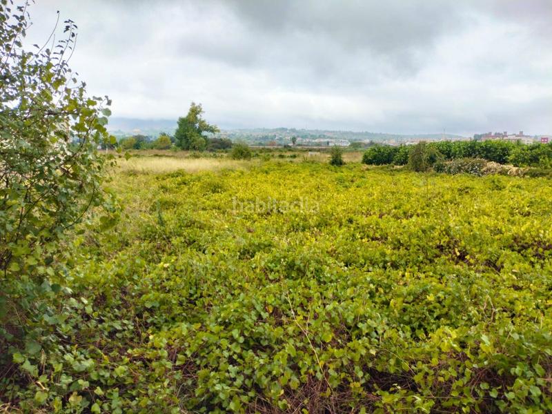 Foto c81b5f9a-8370-49ac-bfc0-3d25d98abb81. Finca rústica a Alcúdia de Crespins (l´)