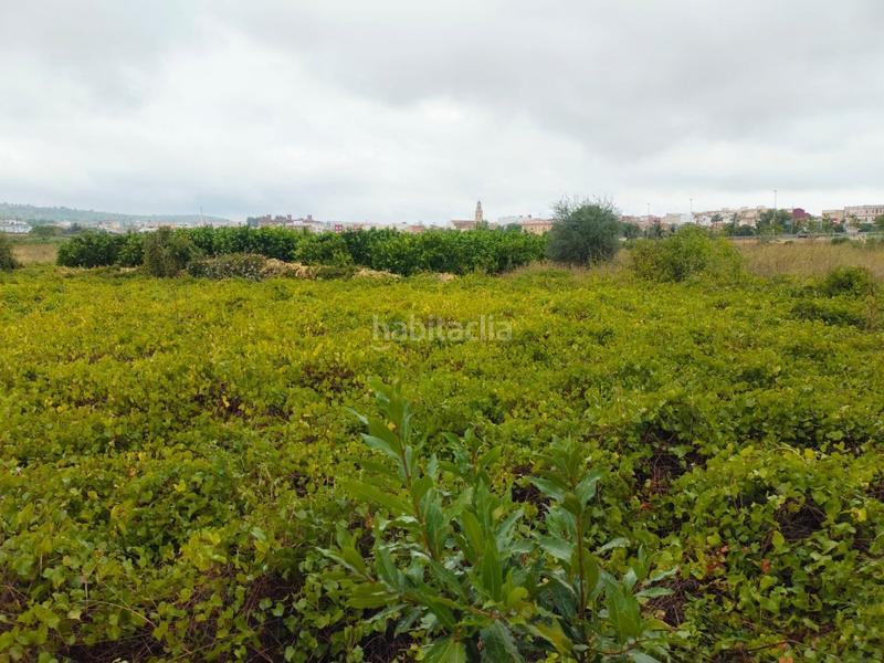 Foto caa96498-0f84-46d3-8abc-515cc7734ae9. Finca rústica a Alcúdia de Crespins (l´)