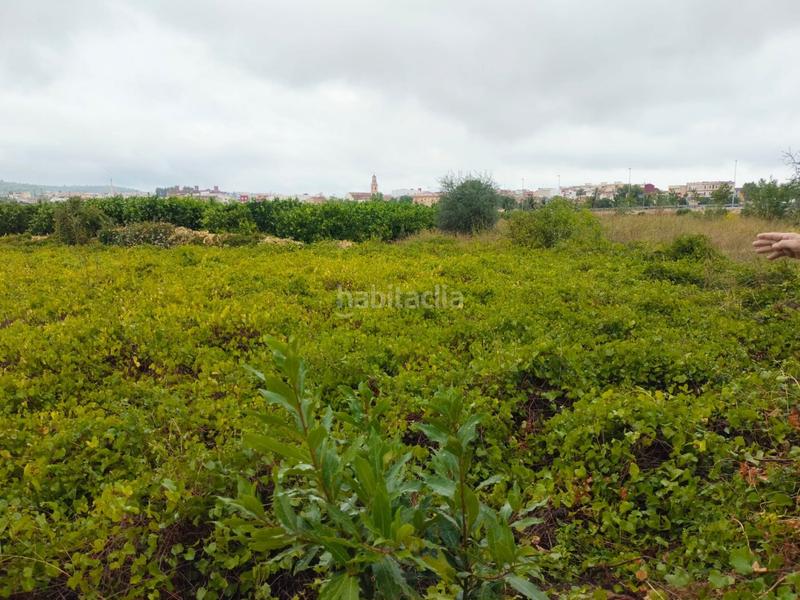 Foto cda33ae8-5557-43e1-9d7a-bcb12637f9eb. Finca rústica a Alcúdia de Crespins (l´)