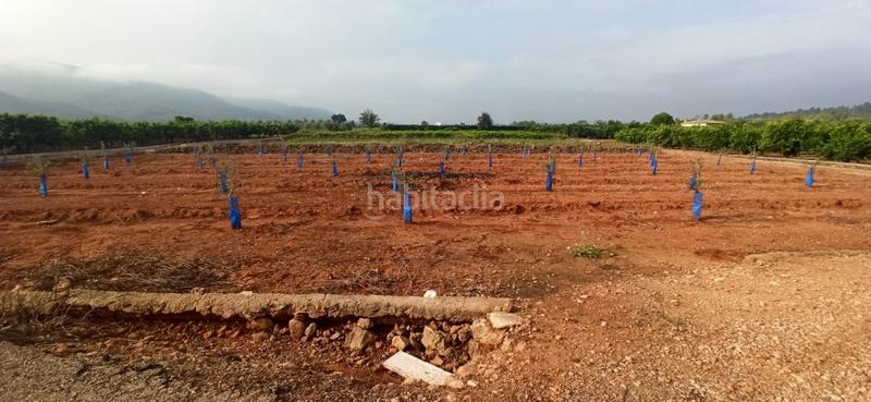 Foto 38cdbbac-b7c3-43ff-a316-77365e447c57. Fondo rustico in Anna