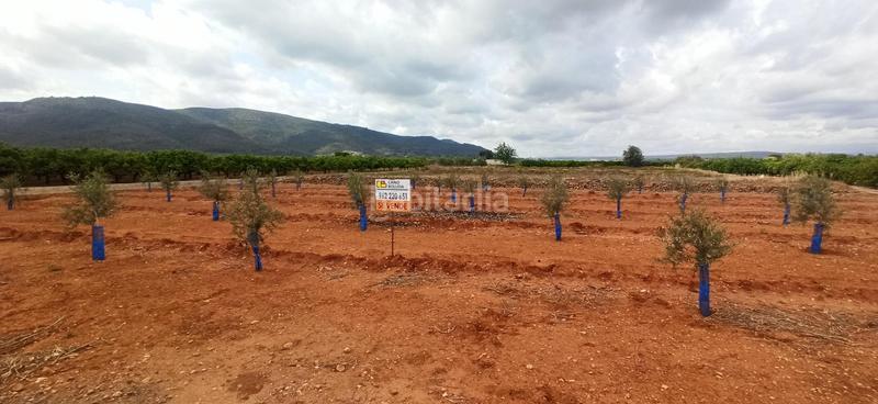 Foto f4a1495c-20d9-4428-8198-52397ec3156b. Fondo rustico in Anna