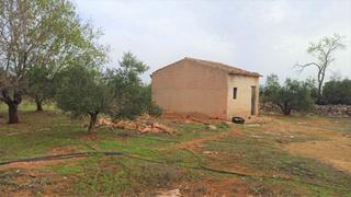 Finca rústica  Poligono 3 parcela 235. Terreno rústico con impresionantes vistas y caseta!!! 4