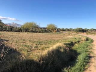 Finca rústica a Chella. Bajada de precio, terreno espectacular cerca del pueblochella!!!
