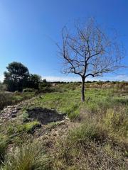 Finca rústica a Rotglá y Corberá. Terreno en la coroneta