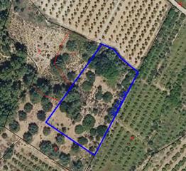 Finca rústica a Rotglá y Corberá. Terreno en les peñetes de rotgla