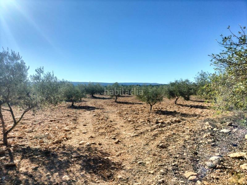 Foto 85d19820-28e4-48ed-b9cb-e2633d5096eb. Finca rústica en polígono 7 parcela 82 loma ferrer. navarres (vale 7 terreno rústico, 10185 metros en la loma ferrer, navarres en Navarrés