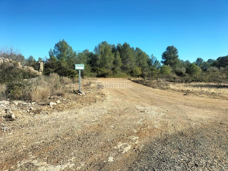 Foto f8d44335-e4bc-458d-b091-cbbad08f748b. Finca rústica en polígono 7 parcela 82 loma ferrer. navarres (vale 7 terreno rústico, 10185 metros en la loma ferrer, navarres en Navarrés