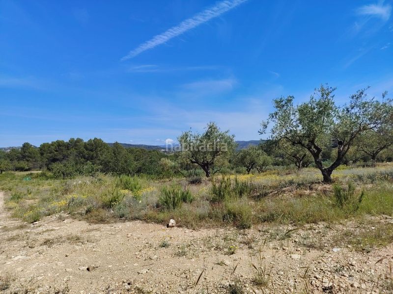 Foto c2bc0cca-1882-4b31-9462-99c1b65ca957. Xalet amb aparcament piscina a Navarrés