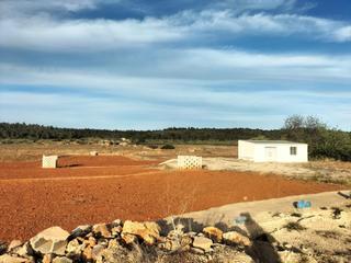 Finca rústica a Polígono 3 parcela 534 el llano. navarres (valenc 3. Terreno agrícola con almacén en navarrés