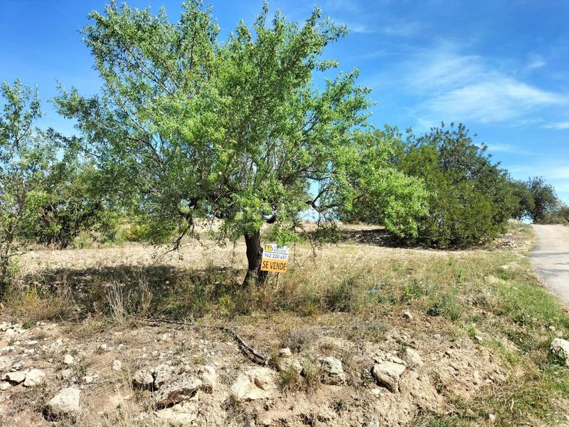 Foto 0b29ae64-b8e8-40a8-ab4e-c41015334eda. Finca rústica a Navarrés