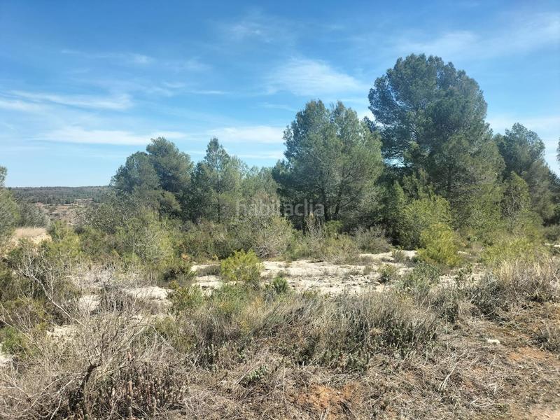 Foto d5174295-0c91-4ccb-aff4-c5959b2d9c61. Finca rústica a Navarrés