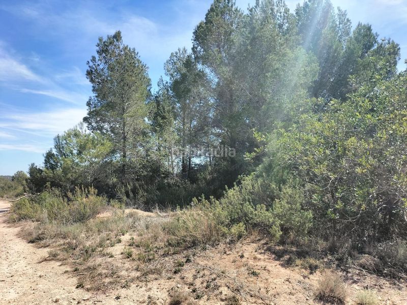 Foto a898c344-9353-442f-8da1-ebea75e9ed69. Finca rústica a Navarrés