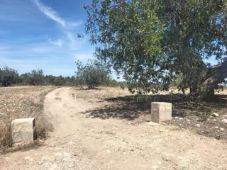 Finca rústica a Navarrés. Oportunidad!!!! 39.165 metros de terreno rústico en la loma, nav