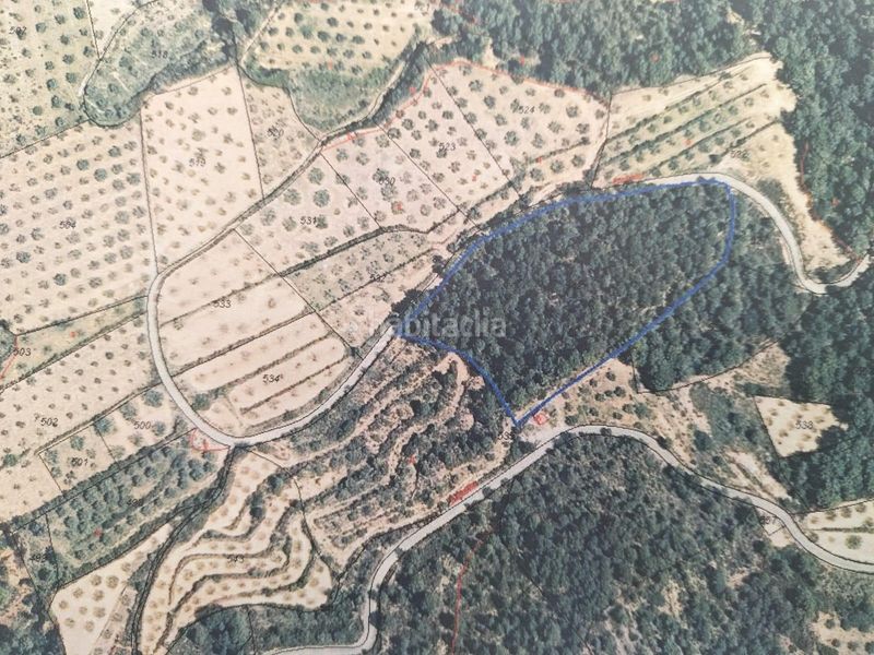 Foto b1911d81-bc11-4a9c-8ad9-654603812081. Finca rústica en polígono 18 parcela 542 la rotura. Bicorp (valenc 18 terreno rústico en la rotura, en Bicorp