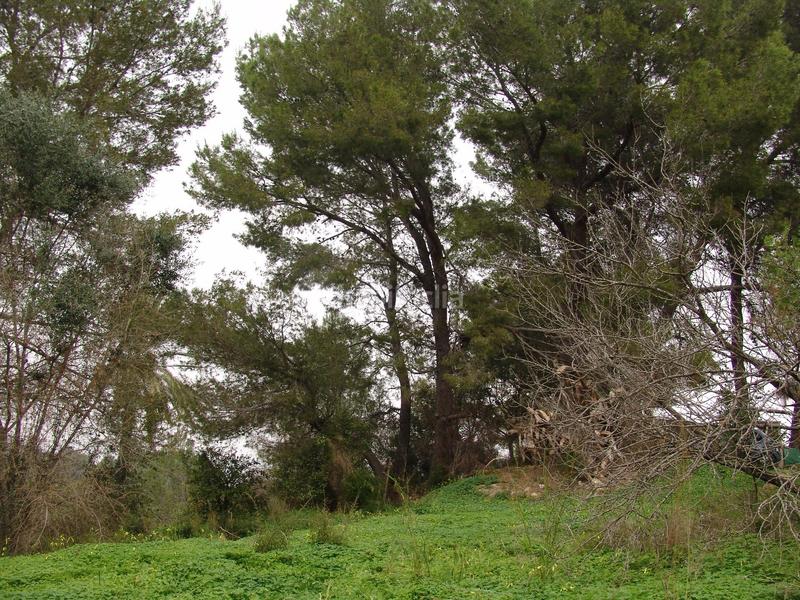 Foto 8e275cd5-bf84-4d2e-9cda-e029a1f4042e. Propriété dans Villanueva de Castellón