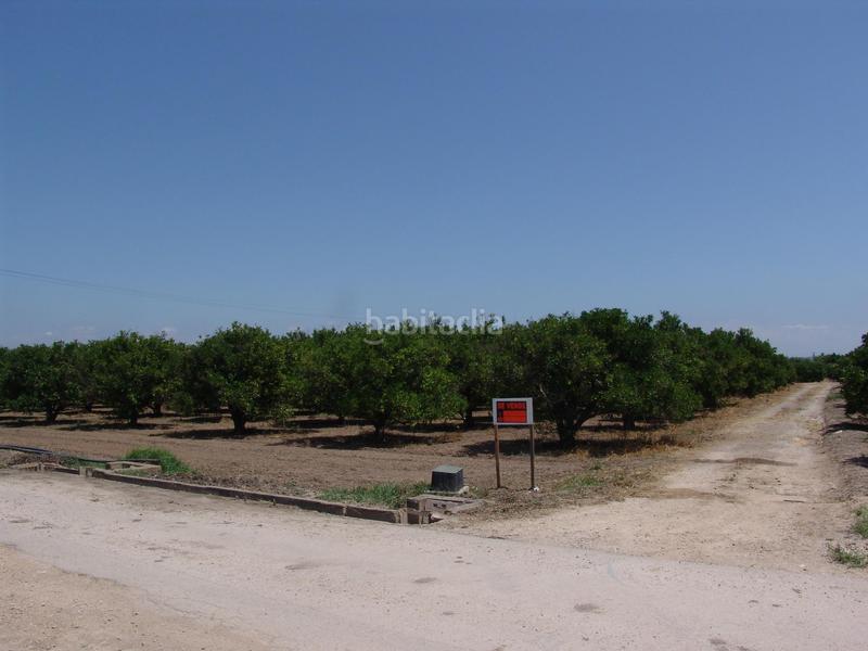 Foto afdad2fa-fb5a-4d6e-9c3d-06935b67f2e7. Propriété dans Villanueva de Castellón