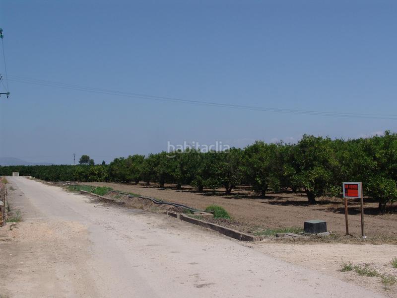 Foto fea792b3-b162-41a2-86be-e2218e3ebfef. Propriété dans Villanueva de Castellón