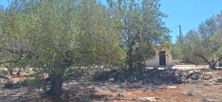 Terreny residencial a Chella. Terreno con caseta en la sotarraña de chella!!!!!!!