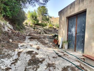 Local Comercial a Alcúdia de Crespins (l´). Finca de 27.000m2 aproximados con caseta de aperos 24 m2, agua a
