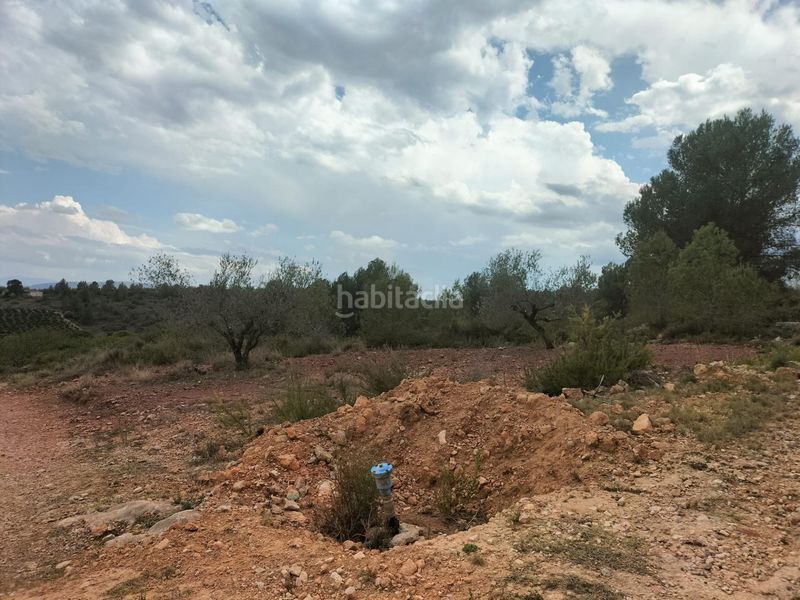 Foto 1ce18448-fa01-4c20-b9d4-92c401884a99. Finca rústica a polígono poligono 8 parcela 90 a Navarrés