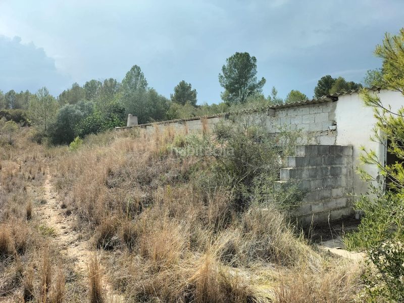 Foto c527827b-a029-4480-ab19-c9718272844a. Finca rústica a polígono poligono 8 parcela 90 a Navarrés