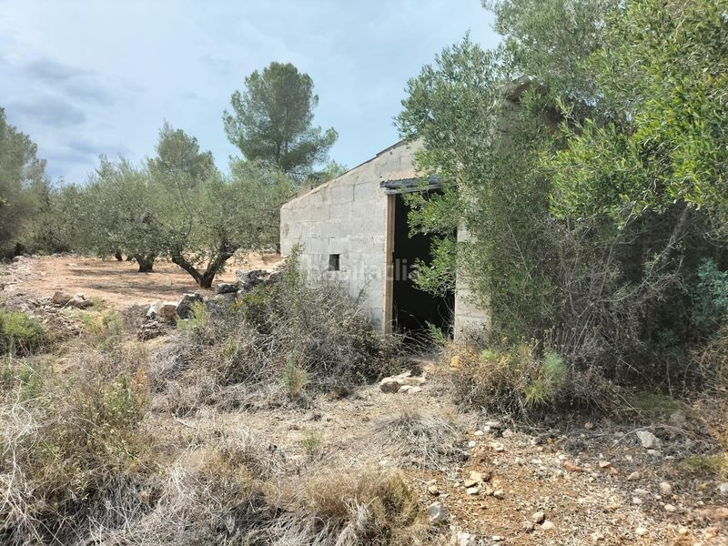 Foto c7bfe028-4285-41c3-bf6a-ba74d4baf71b. Finca rústica a polígono poligono 8 parcela 90 a Navarrés