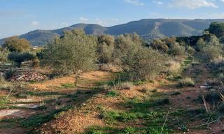 Finca rústica a Anna. Terreno  para  cultivar  a tu gusto, charral anna