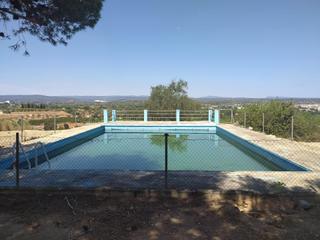 Finca rústica  Camino poligono 4-43. Terreno con casita de aperos y variedad de frutales