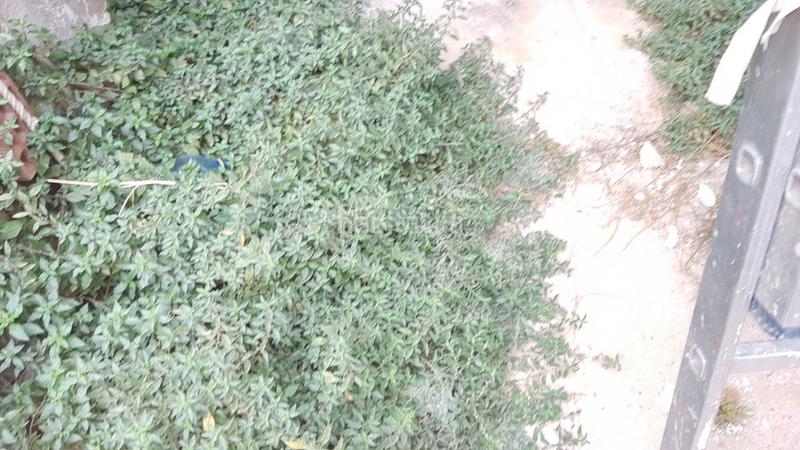 Foto bbeb9c65-4739-4de1-8577-a73f636c10dc. Casa a El Rabal Villena