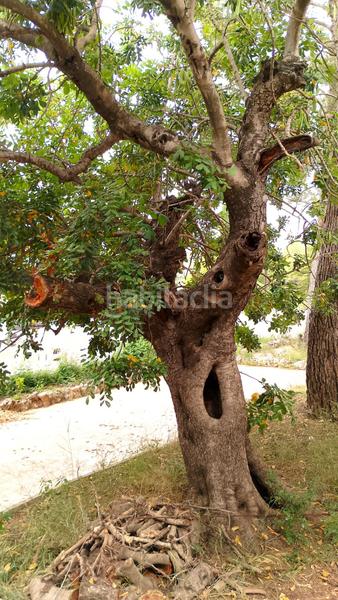 Foto 112d68d2-1f49-48f3-9f39-4b39f529fe9c. Wohngrundstück in Centro Chiva