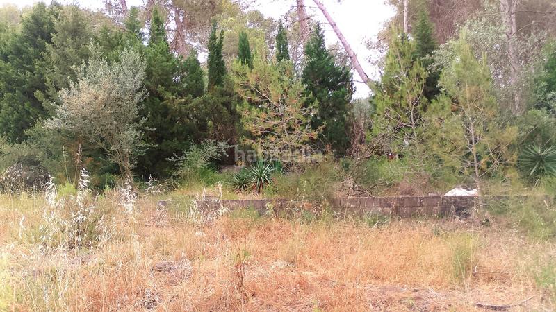 Foto 37f99fa9-3092-4005-9300-a9b895a74779. Wohngrundstück in Centro Chiva