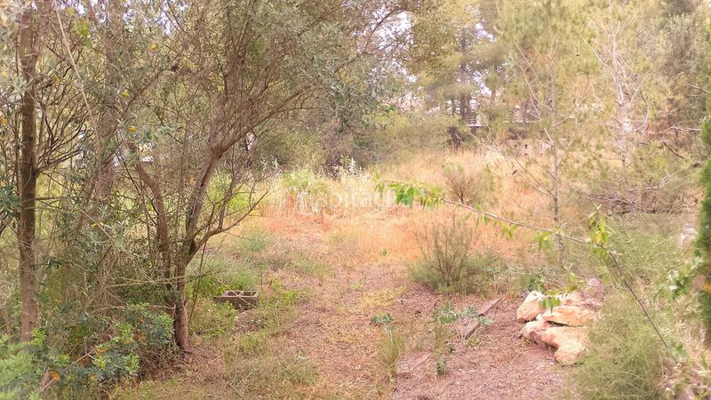 Foto 5d62a2dd-212c-468e-9e1e-f7a0998c22e6. Wohngrundstück in Centro Chiva