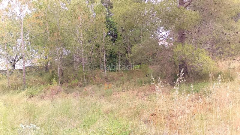 Foto 90e1debe-fe0d-48a2-9855-eb2d57598238. Wohngrundstück in Centro Chiva