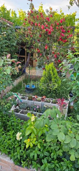 Foto 1a2bd10c-4e00-4586-a940-ea604cc032dd. Chalet avec chauffage parking piscine dans Partidas Norte Villena