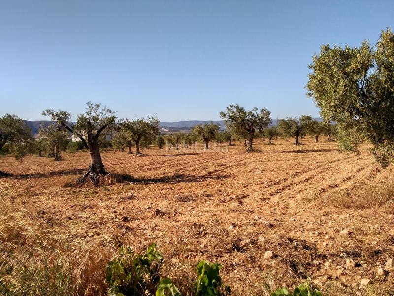 Foto 0dae35cb-af5e-48cd-9e9b-3784fd3c24e5. Terreno residenziale in Salinas