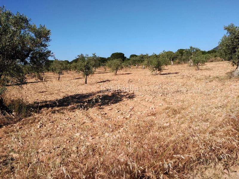 Foto 587a06c4-bb64-4911-b55b-848b0e963e55. Terreno residenziale in Salinas