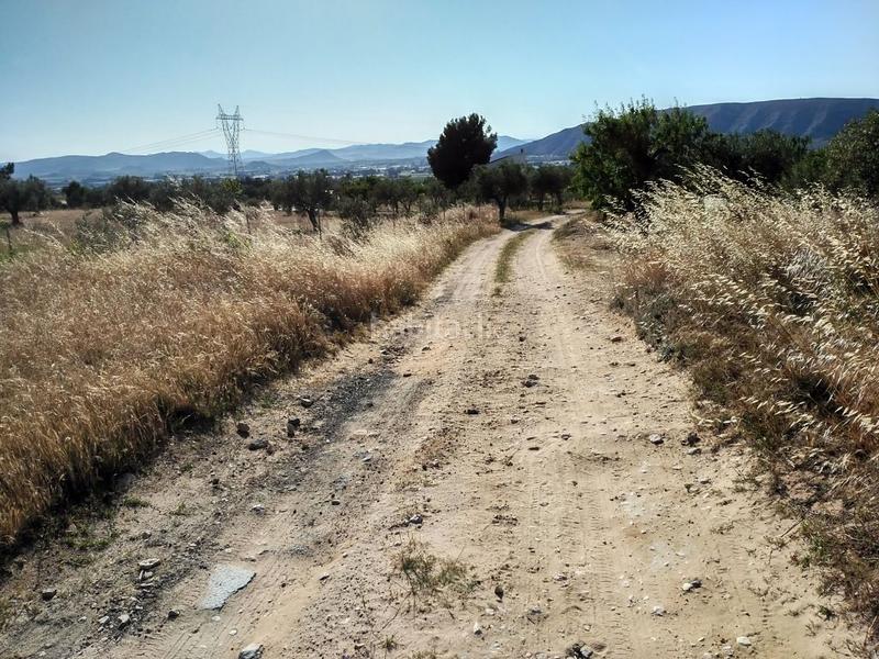 Foto a50e47c8-d687-453b-9358-723c5a1c0fcd. Terreno residenziale in Salinas