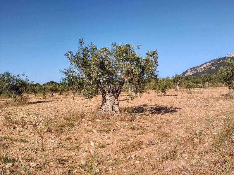 Foto d359fed1-c28f-458f-85bb-39d64ba2eaea. Terreno residenziale in Salinas