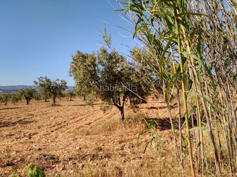 Foto dec5f1e7-f323-44d3-bf49-16317ddf57e7. Terreno residenziale in Salinas