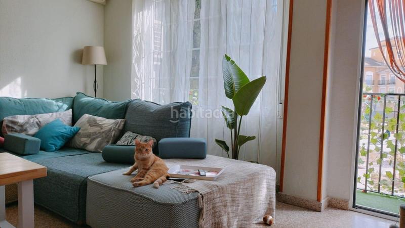 Foto 59cfff5a-87f7-4f21-be5d-d3f708558345. Appartement dans Maestro Carrascosa - Banda de Música Villena