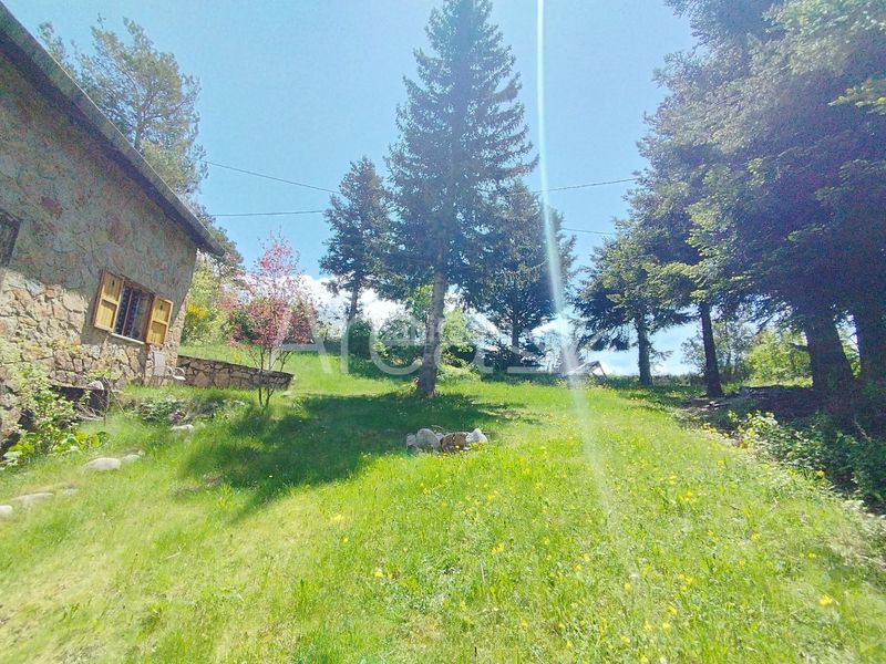 Foto 03a1182a-bc37-4ab6-881d-004a16e9a18f. Xalet amb aparcament a Campelles