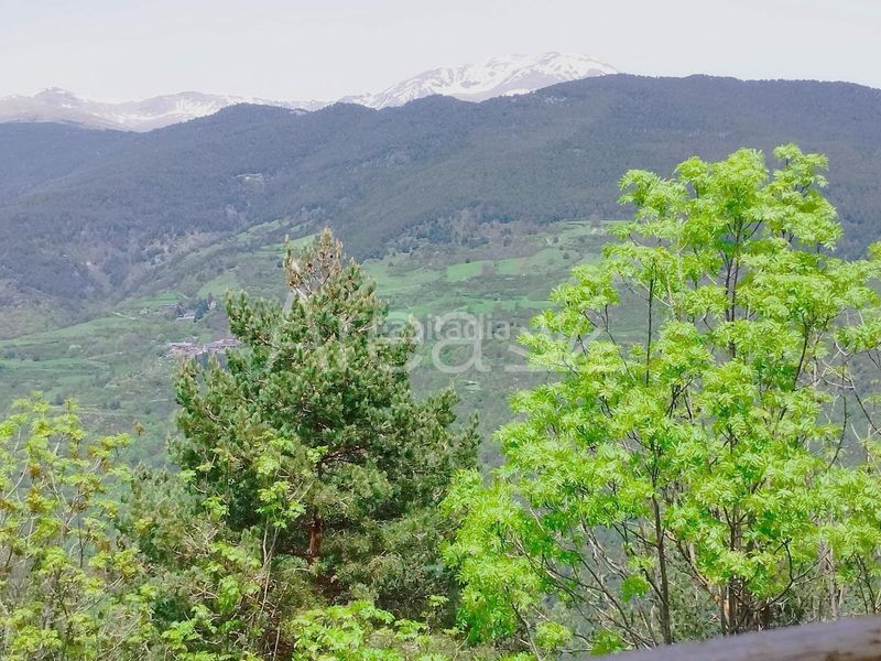 Foto 0a31f28a-b7f9-4d18-9026-05c357826bf3. Xalet amb aparcament a Campelles