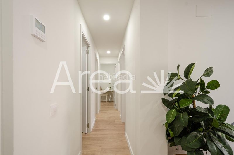 Foto 3bb51bac-9bd3-4db2-a983-52b7e3e3cc58. Pis a Centre Mataró