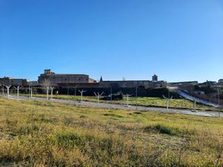 Finca rústica a Escalona. Solar urbano de 4.389 m2 muy bien situado en el casco urbano de