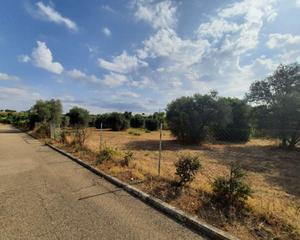 Terreny residencial a Escalona. Terreno de 4000 m2 en inmejorable zona de escalona