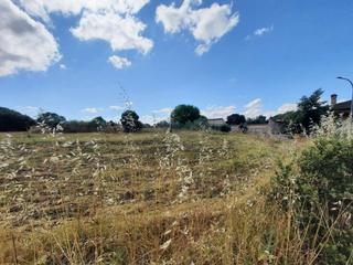 Terreny residencial a Escalona. Parcela de 1.000m2 en urbanizacion cerca del pueblo, escalona