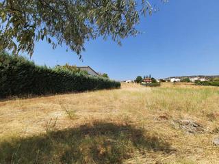 Wohngrundstück in Paredes de Escalona. Terreno urbano en paredes de escalona  1993 m